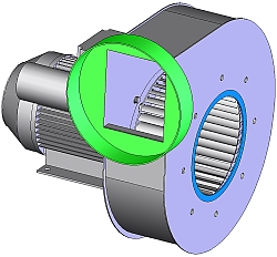 3D Image