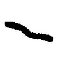 General Purpose Extraction Hose (7'-33'): Code S