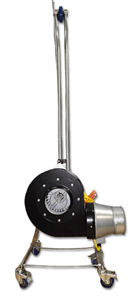 Image for Shared Image (31).png